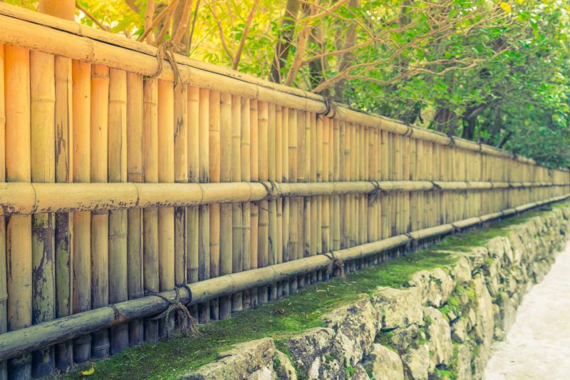 Bamboo Fence